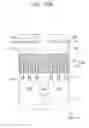 Fig. 81 - Integrated circuit device and method of forming the same