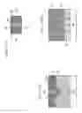 Fig. 11 - Air gap spacer with wrap-around etch stop layer under gate spacer
