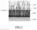 Fig. 03 - Nitride based semiconductor device with improved lattice quality
