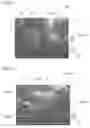 Fig. 08 - Light emitting device