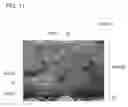 Fig. 09 - Light emitting device