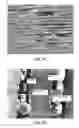 Fig. 07 - FUEL CELL DEVICE AND SYSTEM
