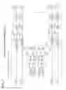 Fig. 10 - OPTICAL AMPLIFICATION DEVICE, PUMP LIGHT SUPPLY METHOD AND CIRCUIT