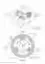 Fig. 02 - Skipping and rolo-skip electrical motors