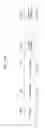 Fig. 92 - Transmission apparatus and transmission method