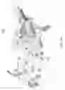 Fig. 28 - Flexible capacity satellite communications system