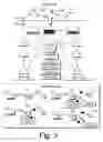 Fig. 04 - Redirection service resource locator mechanism