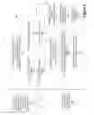 Fig. 05 - Dynamic misappropriation decomposition vector assessment
