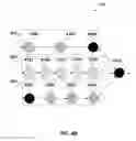 Fig. 06 - Parallel execution of transactions in a blockchain network based on smart contract whitelists