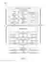 Fig. 14 - Content collection navigation and autoforwarding
