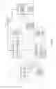 Fig. 12 - Multi-threaded scanning of distributed file systems
