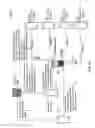 Fig. 03 - Machine-readable code displays for retrieval of associated contact data by unknown devices