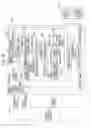 Fig. 31 - Image processing apparatus for detecting a noise line based on noise pixels in the shadow region