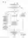 Fig. 22 - Image forming apparatus