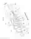 Fig. 05 - Image reading apparatus for detecting a shadow region formed by end of conveyed document