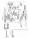 Fig. 30 - Image reading apparatus for detecting a shadow region formed by end of conveyed document