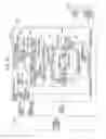 Fig. 31 - Image reading apparatus for detecting a shadow region formed by end of conveyed document
