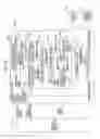 Fig. 31 - Image reading apparatus for detecting a dirt substance from a white reference image and a document image