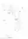 Fig. 10 - Configurable and adjustable video conferencing apparatus