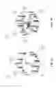 Fig. 06 - Snapshots at predefined intervals or angles