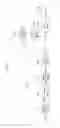 Fig. 03 - Method and apparatus for processing video signal