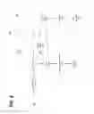 Fig. 07 - Method and apparatus for video coding