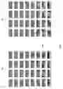 Fig. 05 - Compressed MIP map decoding method and decoder