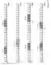 Fig. 20 - Method and device for optimizing encoding/decoding of compensation offsets for a set of reconstructed samples of an image