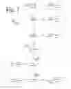 Fig. 11 - System and method for content delivery optimization based on a combined captured facial landmarks and external datasets