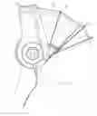 Fig. 01 - Novel Headphone with canopy cover