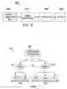 Fig. 07 - System and method for channel measurement and interference measurement in wireless network