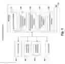 Fig. 07 - Managing delivery of RTP-based wireless telecommunications services