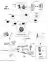 Fig. 05 - Digital media delivery
