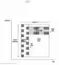 Fig. 03 - Method and apparatus for transmitting downlink control information in wireless communication system
