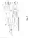 Fig. 09 - Wake up receiver transmit waveform