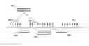 Fig. 01 - Carrier selection in a multi-carrier wireless network
