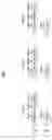 Fig. 08 - Method and user equipment for transmitting random access channel signal, and method and base station for receiving random access channel signal