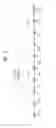 Fig. 04 - Method for transceiving signal in wireless LAN system and device therefor
