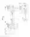 Fig. 19 - Apparatus to establish wireless backhaul connection