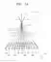 Fig. 07 - Electronic component, electric device including the same, and bonding method thereof