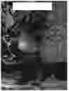 Fig. 04 - Apple tree named ‘Cherry Parfait #19’