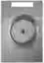 Fig. 10 - Apple tree named ‘Cherry Parfait #19’