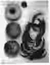 Fig. 01 - Peach Tree, 'Burpeachfortytwo'