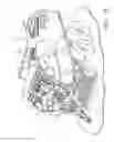 Fig. 03 - Wear resistant precutter knife