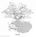 Fig. 07 - Plant irrigation device