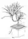 Fig. 08 - Plant irrigation device