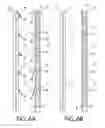 Fig. 07 - Reduced weight live poultry hauling system