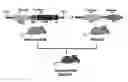 Fig. 01 - PSORIASIS-INDUCED ANIMAL MODEL AND USE THEREOF