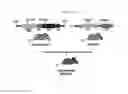 Fig. 02 - PSORIASIS-INDUCED ANIMAL MODEL AND USE THEREOF