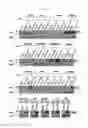 Fig. 04 - PSORIASIS-INDUCED ANIMAL MODEL AND USE THEREOF